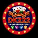 DK222 Game